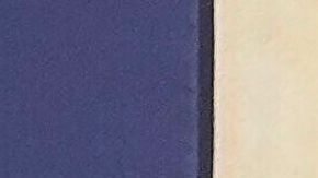 La designación de Troy Edgar no requerirá una nueva aprobación del Senado.