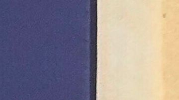 La designación de Troy Edgar no requerirá una nueva aprobación del Senado.