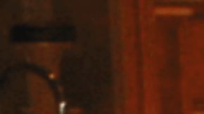 Entre los 3,965 archivos en PDF publicados por DOJ aparecen fotografías del exmandatario.