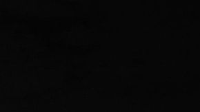 Así luce el JAS Tensei