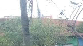 Atentado en Michoacán