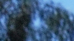 A protester is seen as a Waymo taxi burns near the metropolitan detention center of downtown Los Angeles, Sunday, June 8, 2025, following last night's immigration raid protest. (AP Photo/Jae C. Hong)