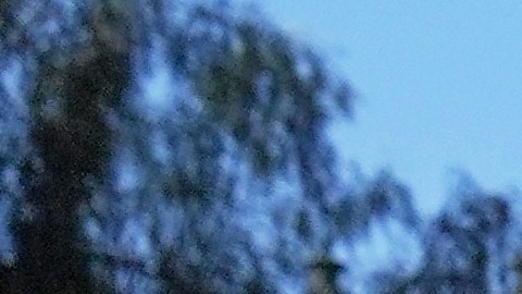 A protester is seen as a Waymo taxi burns near the metropolitan detention center of downtown Los Angeles, Sunday, June 8, 2025, following last night's immigration raid protest. (AP Photo/Jae C. Hong)