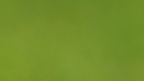 Ayuda para agricultores