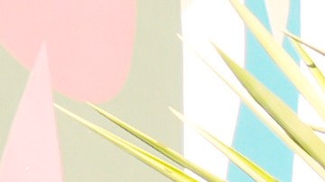 Eniola Taiwo, 14, of Orange, Conn., who wrote a school essay calling for Los Angeles firefighters to be recognized with a star for heroism during last January's Palisades and Sunset Fires, poses alongside firefighters during a ceremony honoring the LAFD with an Award of Excellence star, Friday, Dec. 12, 2025, on Hollywood Blvd. in Los Angeles. (AP Photo/Chris Pizzello)