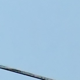 Erickson había servido varios años en el ejército estadounidense.