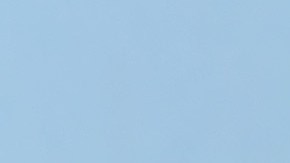 Erickson había servido varios años en el ejército estadounidense.