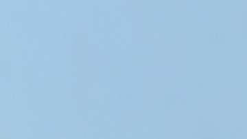 Erickson había servido varios años en el ejército estadounidense.