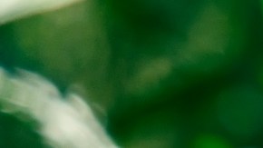 Claves para entender la reclasificación del cannabis: tendrá implicaciones profundas sobre su uso y comercialización