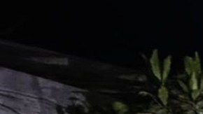 Captura de extorsionadores en Michoacán