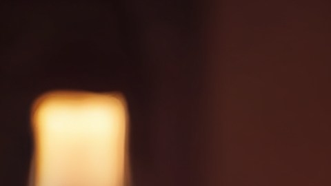 Esta dieta te permitirá prepararte para los excesos de Navidad, sin subir de peso