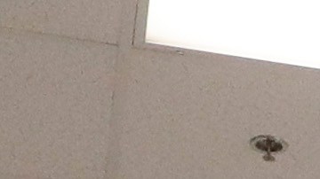 In this Wednesday, Aug. 28, 2019, photo shows a guard walks a with a detainee in the intake area at the Adelanto ICE Processing Center in Adelanto, Calif. The facility is a privately operated immigration detention center run by the GEO Group, which can house up to about 1900 total immigrant detainees, both male and female. (AP Photo/Chris Carlson)