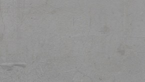 Formas naturales de proteger el cerebro (RECOMENDACIONES)