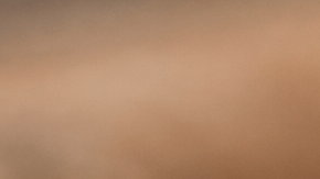 Canela de Ceilán Cinnamon verum en rama con capas finas visibles