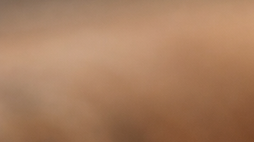 Canela de Ceilán Cinnamon verum en rama con capas finas visibles