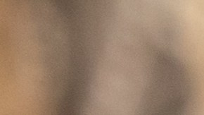 Consumidores se muestran pesimistas sobre la economía, pero siguen gastando ¿Por qué?