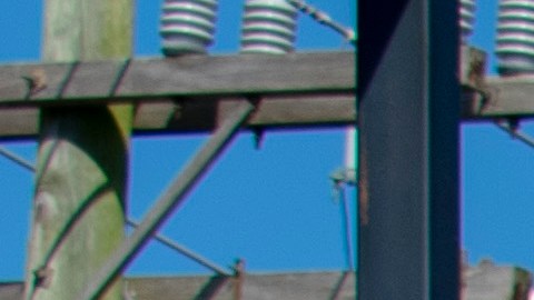 Cook Out amplía su presencia con nuevas ubicaciones en 6 estados