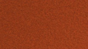 "La música fue lo único que me permitió continuar", dijo sobre un incidente que casi le cuesta la vida.