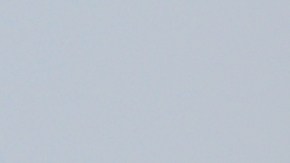 Cuentas Trump de $1,000 para recién nacidos