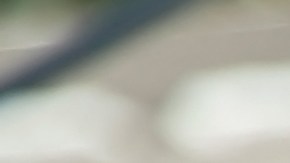 Cupones SNAP dejarían de existir