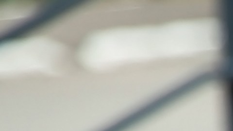 Cupones SNAP dejarían de existir