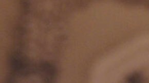 Dan Bongino, subdirector del FBI