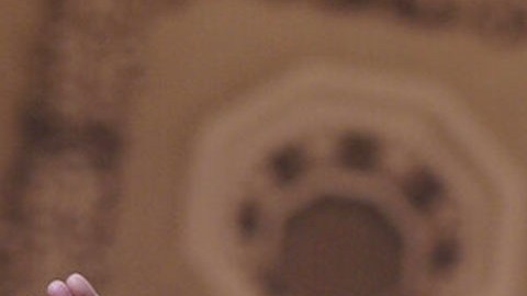 Dan Bongino, subdirector del FBI