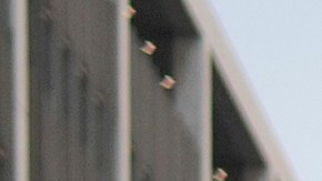 Deportaciones de Trump han impactado en la economía y empleo de California, según UCLA