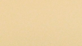 Diferencias entre seguro y garantía de vivienda