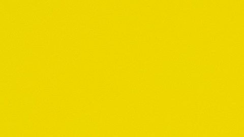 Doble pago del Seguro Social