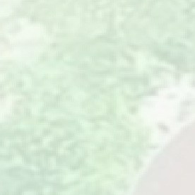 Dulce Consuelo Díaz Morales fue detenida por ICE el 14 de diciembre.