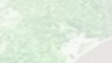 Dulce Consuelo Díaz Morales fue detenida por ICE el 14 de diciembre.