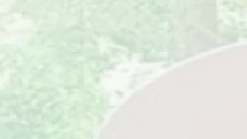 Dulce Consuelo Díaz Morales fue detenida por ICE el 14 de diciembre.