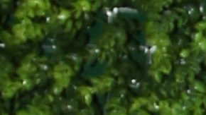 William Levy y Elizabeth Gutiérrez