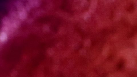 Eddy Reynoso y Canelo Álvarez.