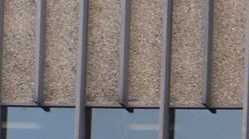 People line up outside the Los Angeles Federal Building in Los Angeles, housing the U.S. Immigration and Customs Enforcement (ICE) and U.S. Citizenship and Immigration Services (USCIS) on Wednesday, June 25, 2025. (AP Photo/Damian Dovarganes)