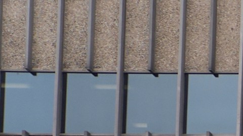 People line up outside the Los Angeles Federal Building in Los Angeles, housing the U.S. Immigration and Customs Enforcement (ICE) and U.S. Citizenship and Immigration Services (USCIS) on Wednesday, June 25, 2025. (AP Photo/Damian Dovarganes)