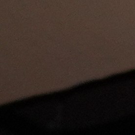 Desde los años noventa, la alcaldía de Miami había estado exclusivamente en manos de líderes hispanos.