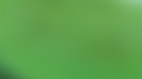 El aumento de los costos de los alimentos: un desafío para muchos compradores