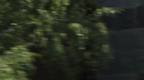 El histórico Ford Fiesta