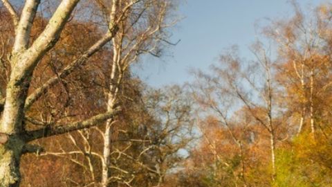 El modelo BYD SEAL 6 DM-i