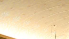 Demócratas controlan Cámara en Georgia, y Eric Gisler gana distrito dominado por republicanos