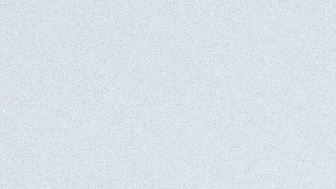 Esposa de Bruce Willis