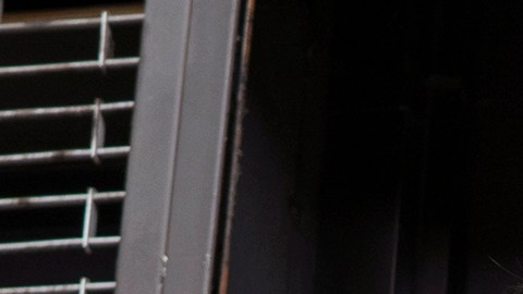 Exigen en Pennsylvania protección para niños y familias inmigrantes ante amenazas de Trump