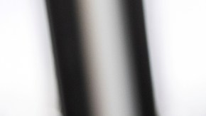 La vida digital impacta cada instante a nuestros sentidos