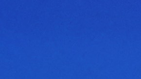 Fátima Bosch recibe multitudinario homenaje en Tabasco y agradece apoyo de los mexicanos