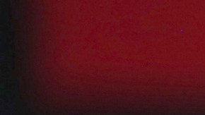 Fátima Bosch, Miss Universo 2025, prefiere que la acompañen a misa antes que recibir "likes"