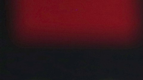 Fátima Bosch, Miss Universo 2025, prefiere que la acompañen a misa antes que recibir "likes"