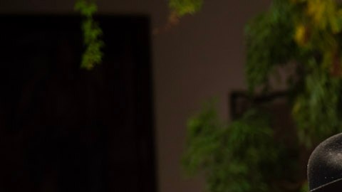 Genaro se ha enamorado de Doménica.