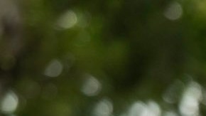 Las cosas entre Luis Fernando y Doménica se están poniendo serias.